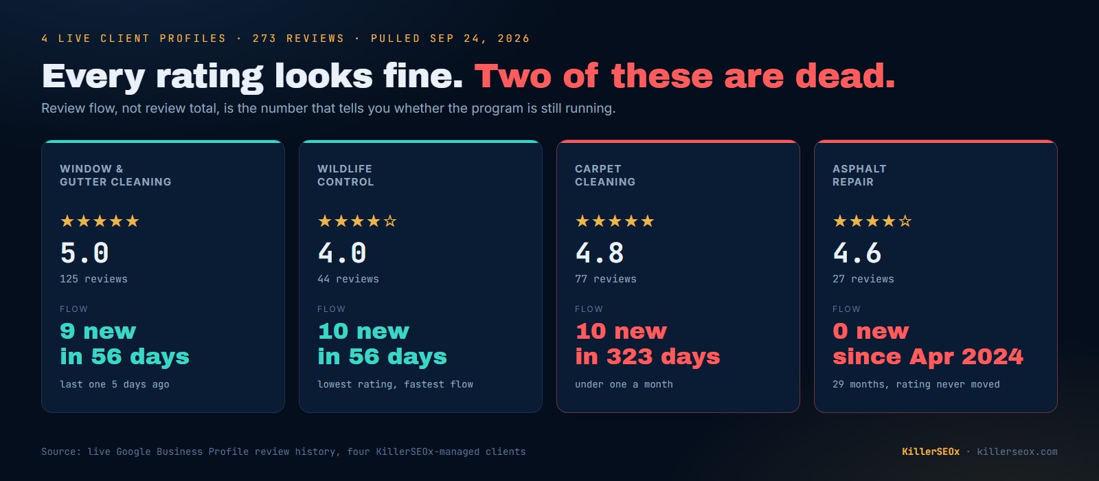 Four client Google Business Profiles compared by review flow rather than review total: a window and gutter cleaner with 125 reviews at 5.0 stars taking nine new reviews in 56 days, a wildlife control company with 44 at 4.0 taking ten in 56 days, a carpet cleaner with 77 at 4.8 taking ten in 323 days, and an asphalt repair contractor with 27 at 4.6 that has taken none since April 2024